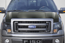 Load image into Gallery viewer, 2009-2014 Ford F-150 Carbon Creations DriTech OEM Hood - 1 Piece